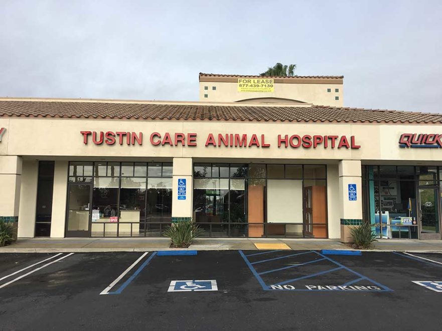 Tustin Care Animal hospital - Building sign from starfish signs & graphics